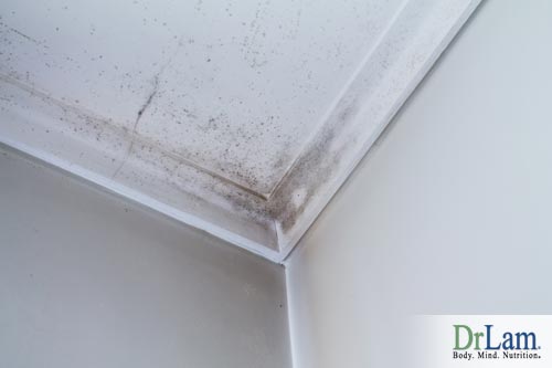 Ensuring that your home is mold free can help you avoid mold toxicity symptoms