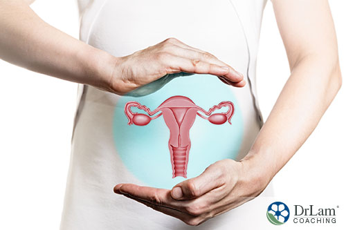 An image of a woman holding her hands under and above a depiction of her uterus