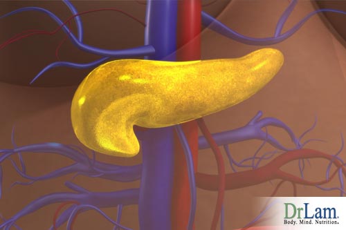 Pancreas and reverse insulin resistance naturally