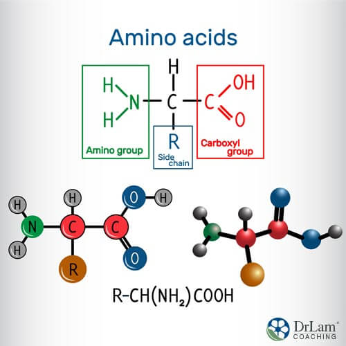 An image of molecular amino acid components