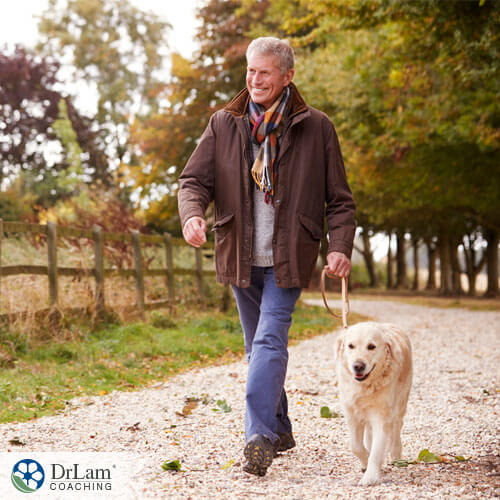 An image of an older man walking with a dog enjoying some pet therapy