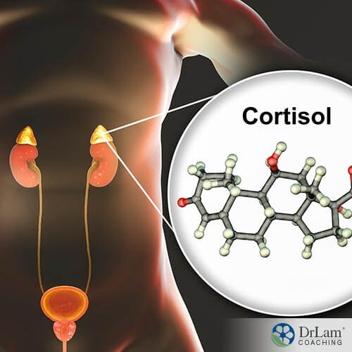 image of cortisol level present in the body