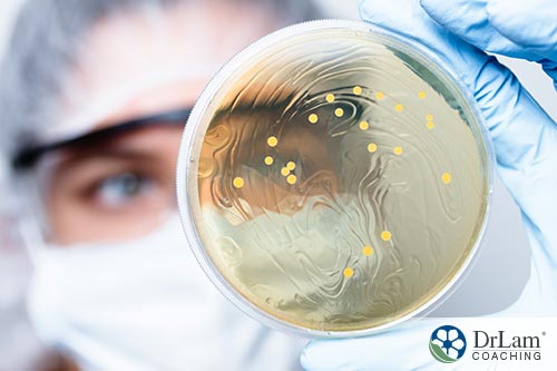 image of a scientist holding the result of microbes