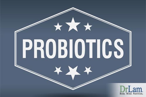The damage of a high fat diet can be reduced with the help of probiotics