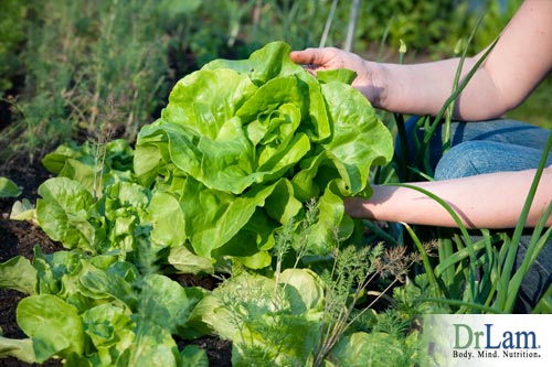 Your garden may have many stress relieving foods