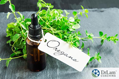 An image of fresh oregano and oil