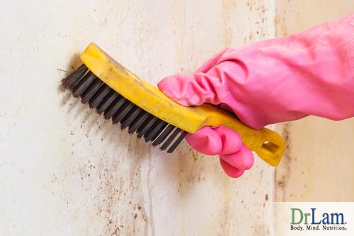 Mold toxicity symptoms can be reduced by keeping up with dust and dirt