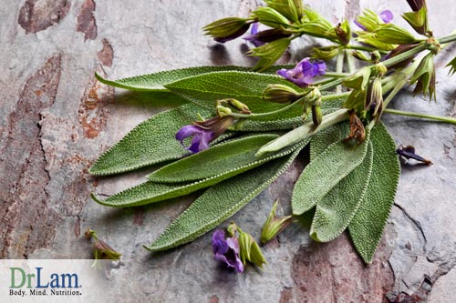Estrogen imbalance can be improved by using sage.