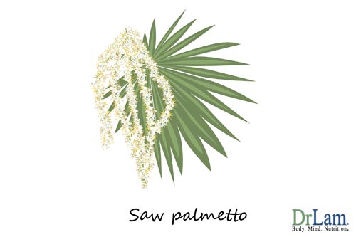 Saw palmetto for common prostate problems