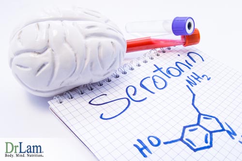 How serotonin plays a role in excitatory and Inhibitory Neurotransmitters