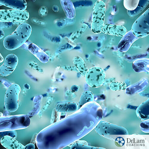 image of bacteria growing in the digestive system