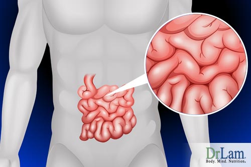 Having healthy gut bacteria can reduce the risk of gastrointestinal disorders