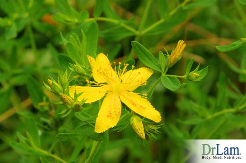 Inositol for PCOS and St. John’s Wort 