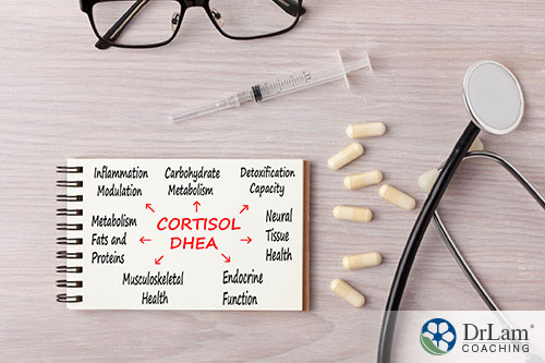 An image of a notepad with cortisol and DHEA written on it along with a syringe and stethoscope