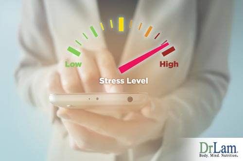 Natural bioidentical hormones and your stress levels