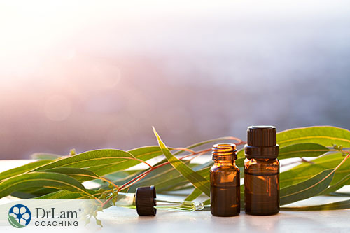 An image of two essential oil bottles with some leaves