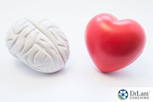 An image of a white brain and red heart