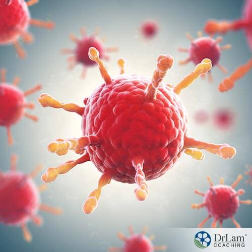 An image of an Epstein-Barr virus during mononucleosis stage