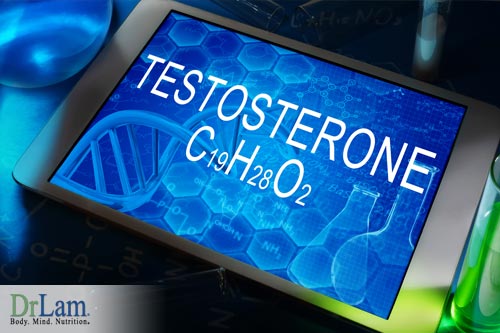 Testosterone created by the pregnenolone supplement