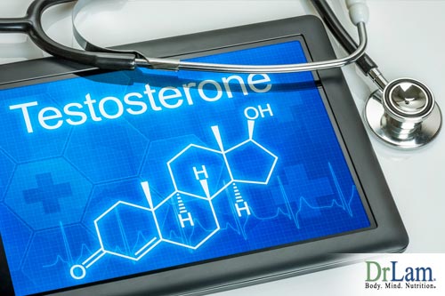 Progesterone cream and testosterone
