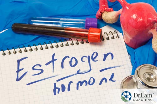 The hormone circuit and estrogen levels