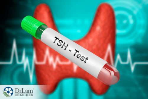 An image of a TSH Test tube with a thyroid gland in the background