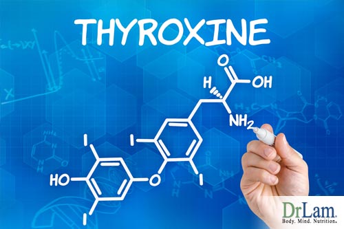 metabolic health using thyroxine