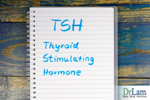 TSH test results and Adrenal Fatigue treatment