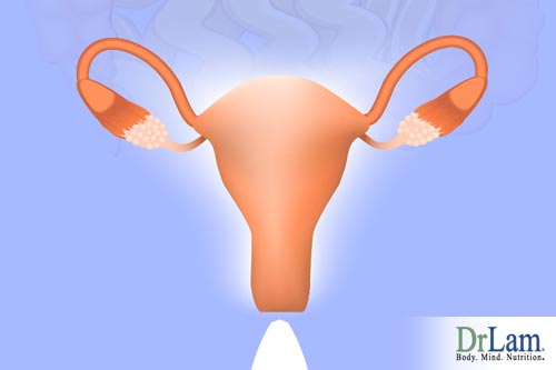 Uterus and shrink fibroids
