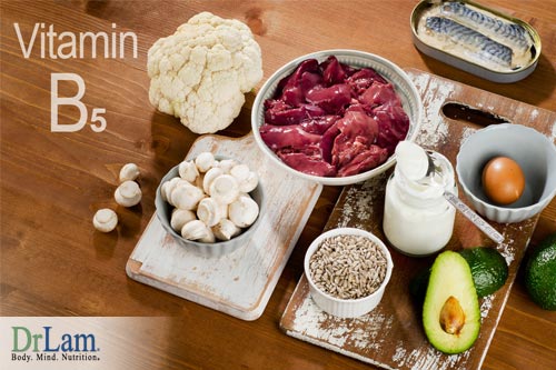 Various foods which contain ample vitamin B5, one of the host of compounds that convey vitamin B complex benefits