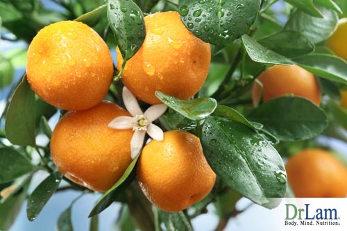 Vitamin C can be used to treat SARS
