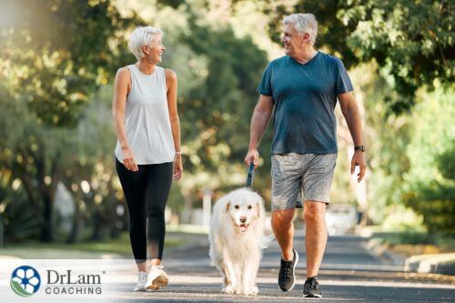 An image of an older couple walking their white dog