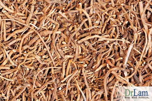 Valerian root contains many beneficial compounds to relax the body.