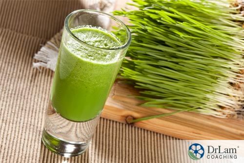 Recovering from liver fatigue involves gentle nutritional approaches with healthy diet choices like wheatgrass