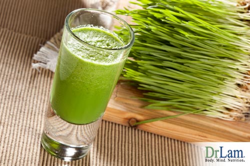 A great alternative to sprouted wheat is wheatgrass