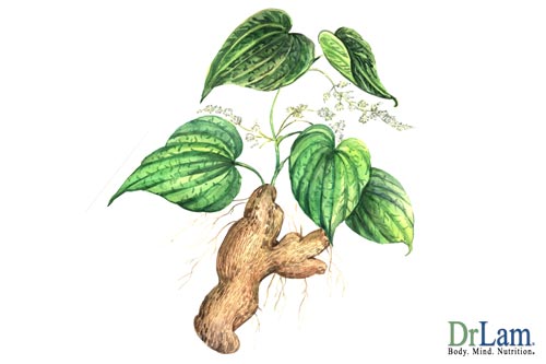 Pregnenolone supplement in natural form of yams