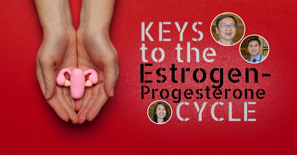 Reproductive Health Estrogen And Progesterone In Your Body