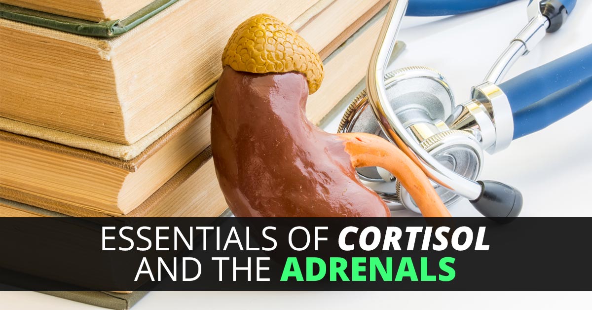 The Adrenals and Cortisol