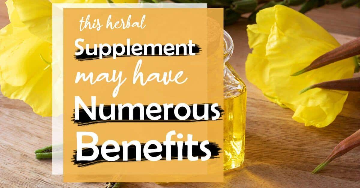 Evening Primrose Oil A Holistic Herbal Oil For Hormonal Balance