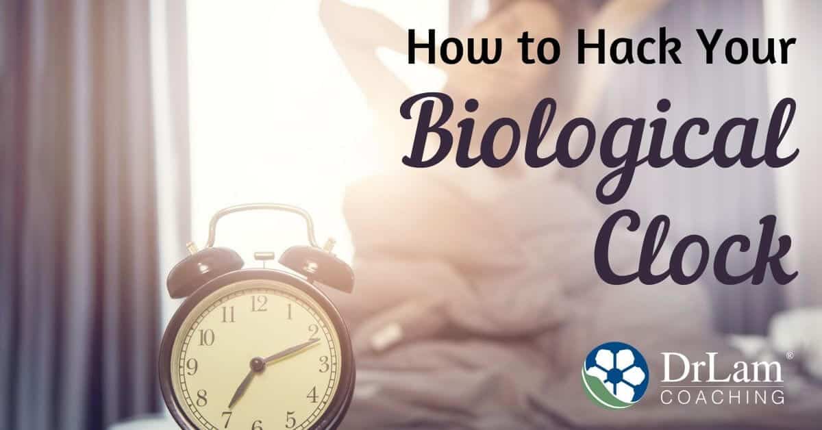 How To Rebalance Your Biological Clock And Circadian Rhythm